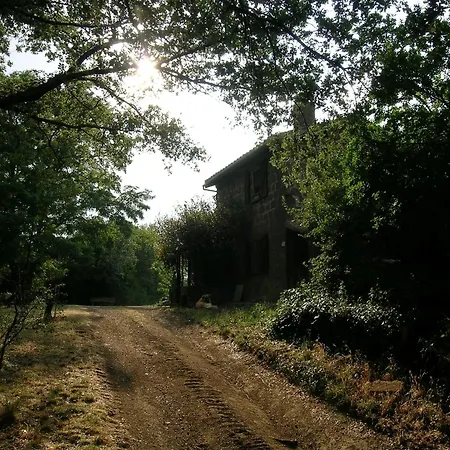 Poggio Del Castagno *