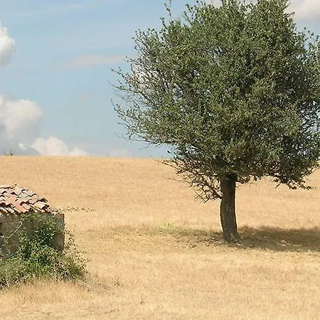 Agroturismo Poggio Del Castagno *