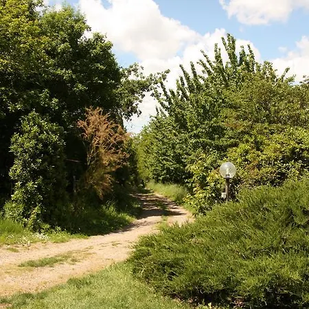 Agroturismo Poggio Del Castagno Pitigliano